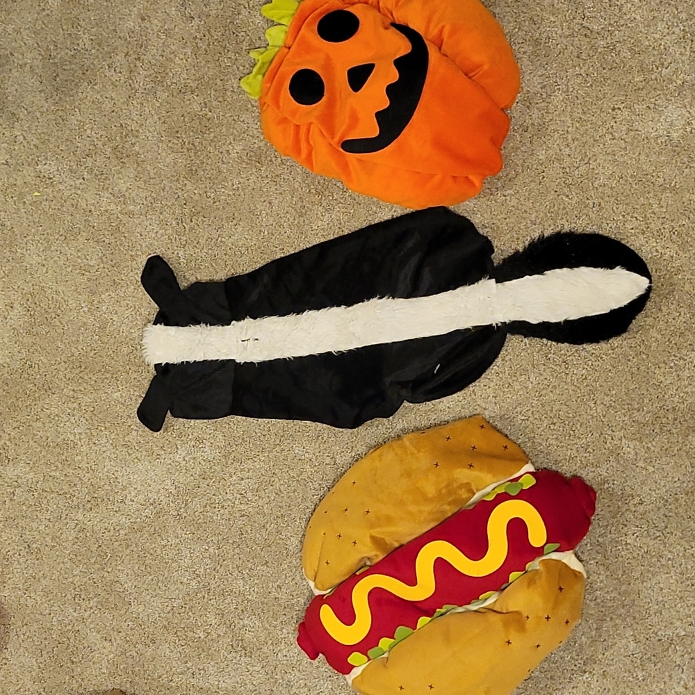 Large Dog Costumes
